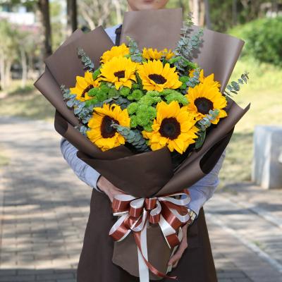 考试顺意,如鱼得水-9朵向日葵搭配绿色小雏菊、尤加利